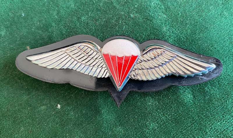 SA PARA WING FREE FALL QUALIFIED-WORN FROM 1970`S- 2 PINS