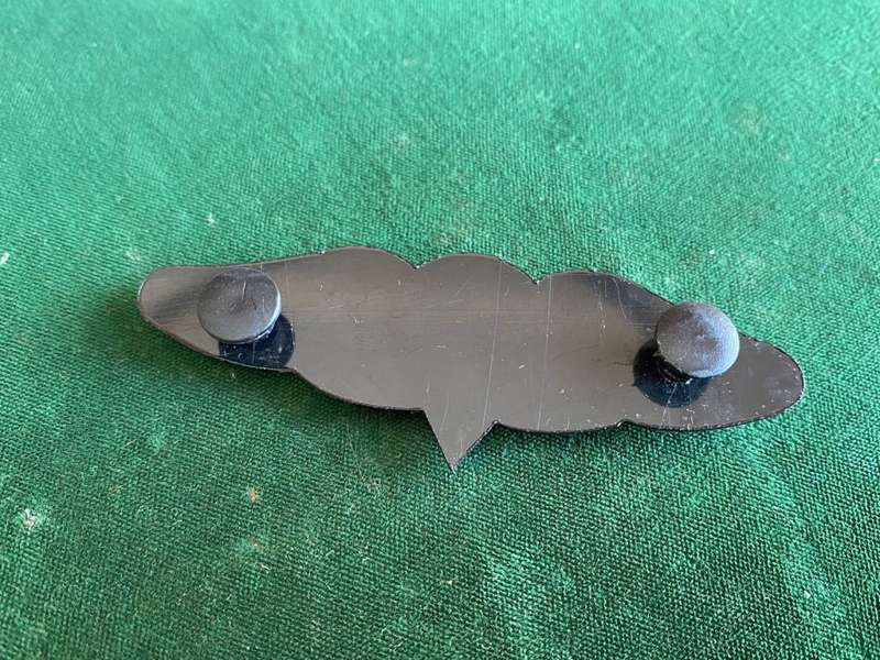 SA PARA WING FREE FALL QUALIFIED-WORN FROM 1970`S- 2 PINS