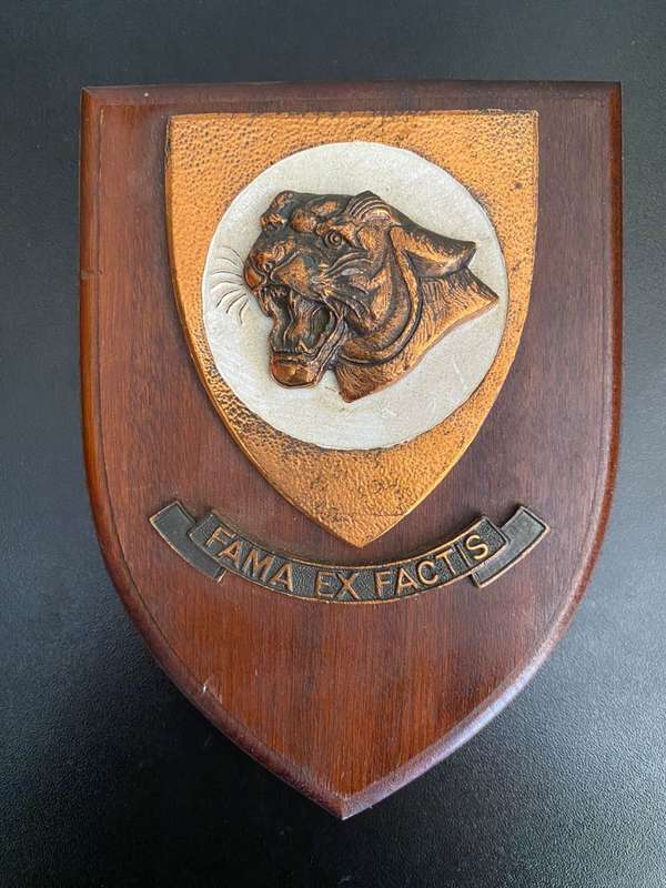 SAAF 19 SQUADRON PLAQUE