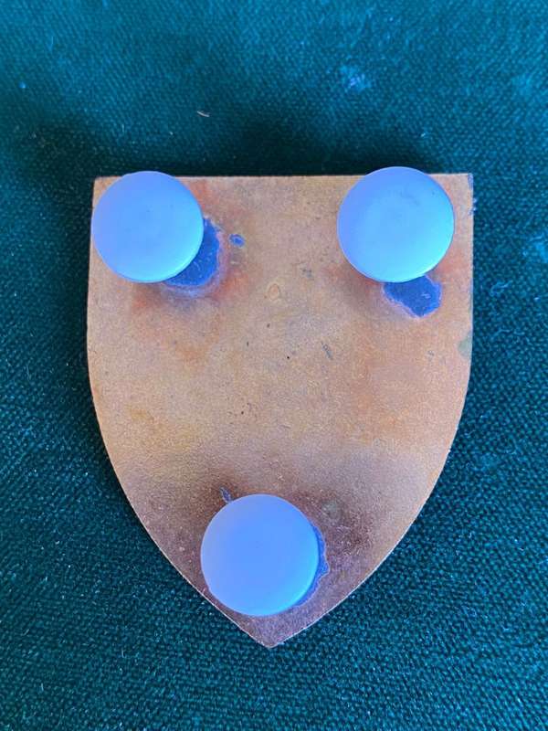 SWA 202 BATTALION POCKET FLASH- 3 PINS
