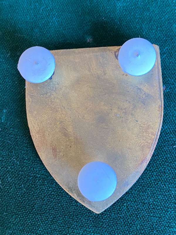 1 SWA CADET CORPS OFFICERS COMMANDING,POCKET FLASH- 3 PINS