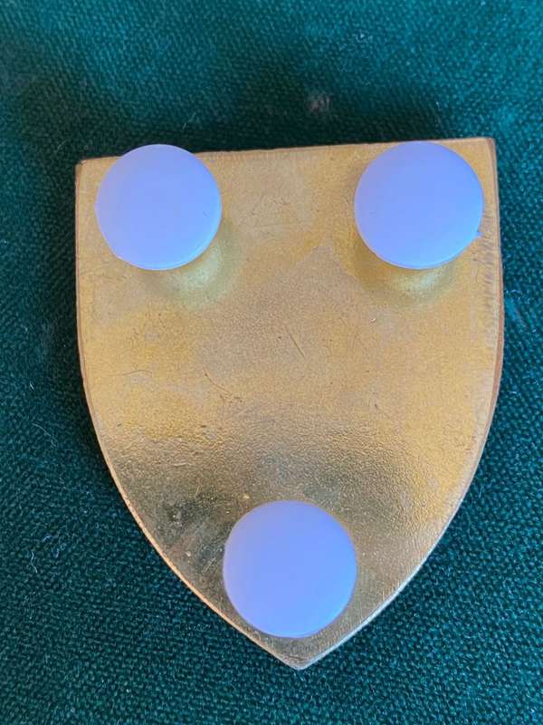 SWA 913 BATTALION POCKET FLASH-3 PINS