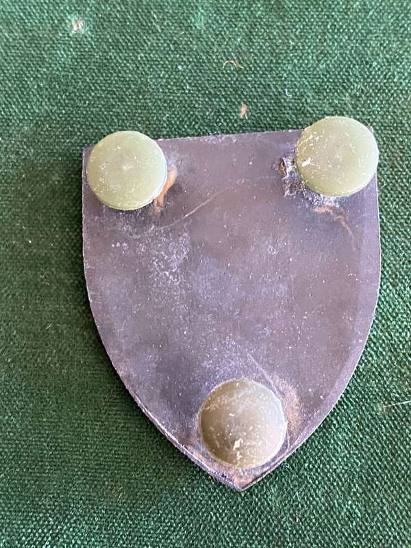 1 SWA PARACHUTE BATTALION POCKET FLASH- 3 PINS