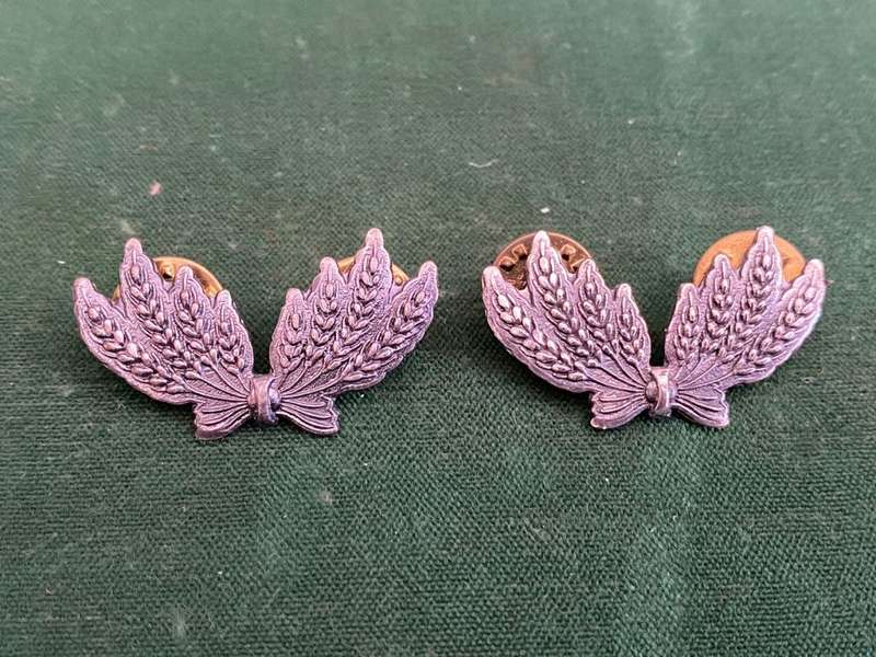SWA SERVICES CORPS,ANODISED SILVER,COLLAR BADGE PAIR-PINS INTACT