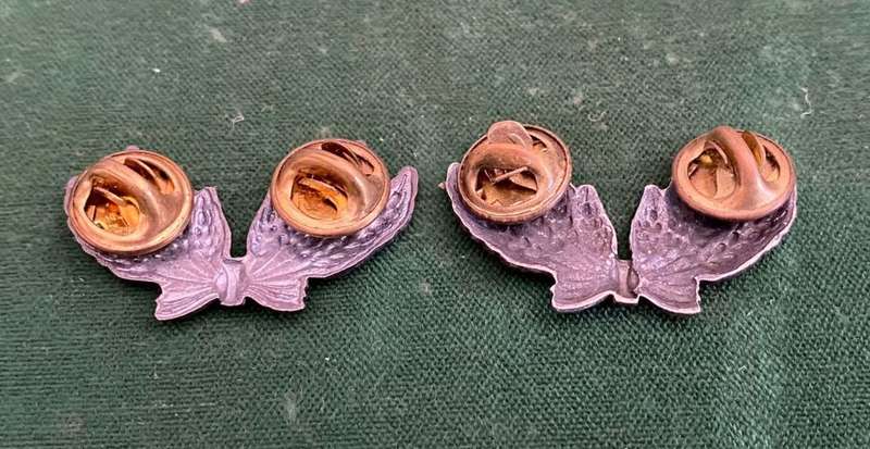 SWA SERVICES CORPS,ANODISED SILVER,COLLAR BADGE PAIR-PINS INTACT