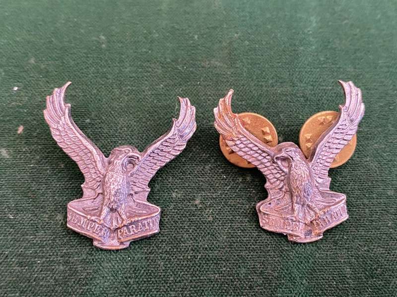 SWA AIR FORCE OXIDISED SILVER COLLAR BADGE PAIR-PINS INTACT