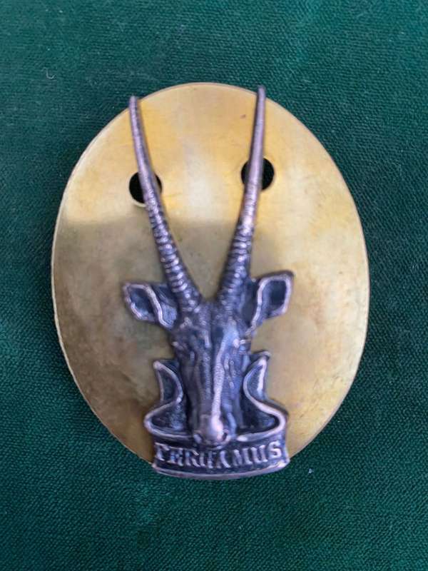 SWA HEAD QUARTERS OXIDISED SILVER CAP BADGE-LARGE VARIATION BACKPLATE-MEASURES 55X45MM-ALL PINS + LU