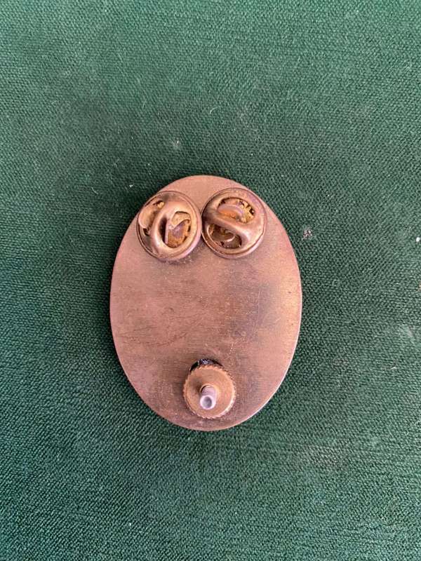 SWA HEAD QUARTERS,OXIDISED SILVER CAP BADGE-SMALL VARIATION BACK PLATE-MEASURES 45 X 35 MM-ALL PINS