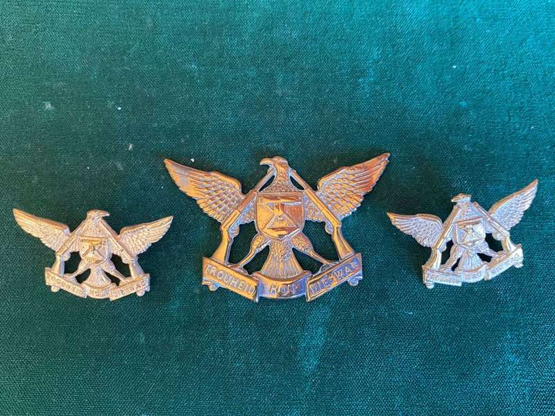 REGIMENT DE WET BRASS CAP AND COLLARS-WORN POST 1967-CAP WITHOUT LUGS