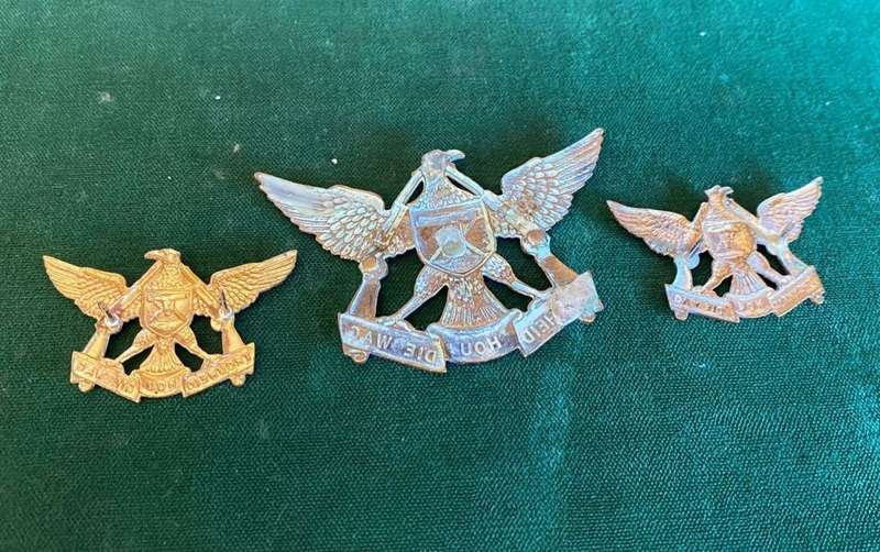 REGIMENT DE WET BRASS CAP AND COLLARS-WORN POST 1967-CAP WITHOUT LUGS