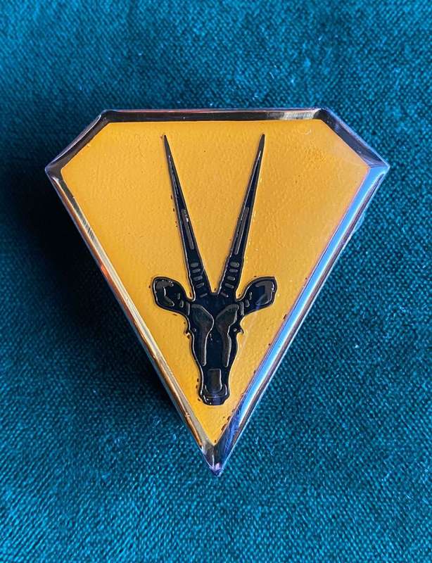 SWA TERRITORY FORCE HQ POCKET FLASH- 3 PINS