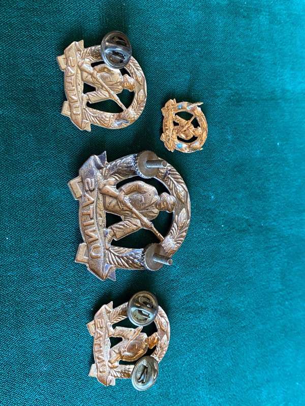 CITIZEN FORCE INFANTRY(SKIET COMMANDO)GILDING METAL CAP,COLLARS AND ONE MESS DRESS COLLAR-WORN POST