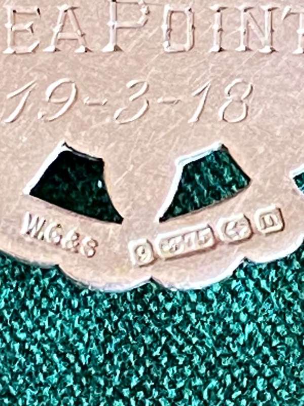 9CT GOLD (STAMPED) LIFE SAVING PENDANT-DATED 19-3-18-TOTAL WEIGHT 6,8G (GOLD VALUE APPROX R3604) DIA