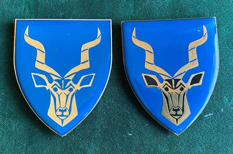 REGT. CHRISTIAAN BEYERS BLUE AND BLACK EAR TYPE FLASHES -ORIGINAL-NO PINS-SILICONE ON BACK CAN BE CL