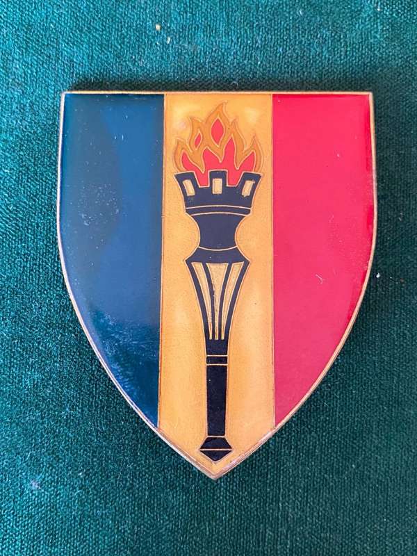 KRYGBEHOEFTE SKOOL FLASH- ONE PIN