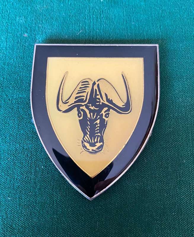 REGT. PORT NATAL FLASH-NO PINS-SILICONE CAN BE REMOVED