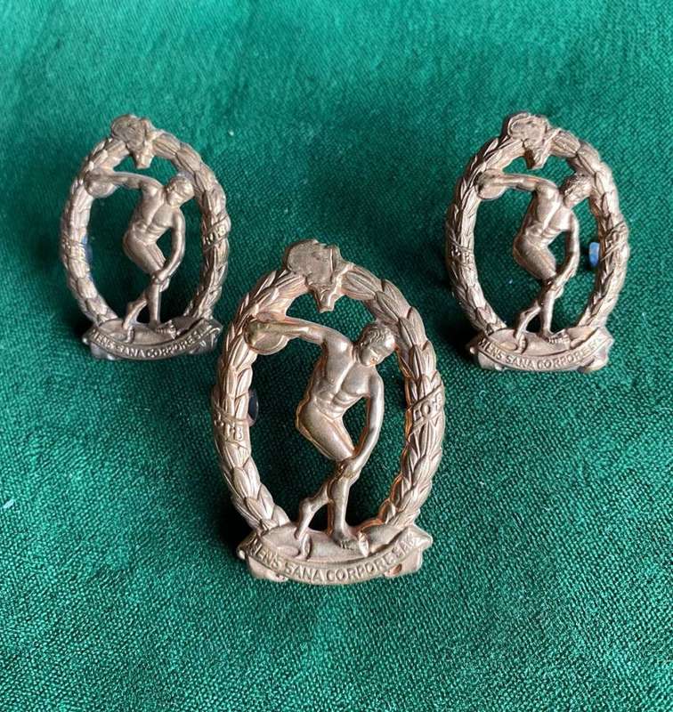 PHYSICAL TRAINING BRIGADE,BRONZE METAL CAP AND COLLARS-WORN 1941-1946-LUGS INTACT