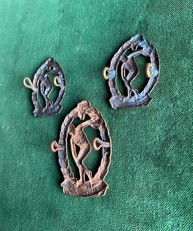 PHYSICAL TRAINING BRIGADE,BRONZE METAL CAP AND COLLARS-WORN 1941-1946-LUGS INTACT