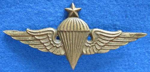 PARA - US SENIOR PARA QUALIFICATION BADGE.  BRASS - STICK PIN INTACT.