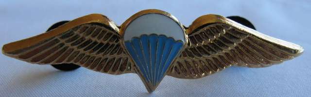 PARA - BASIC MESS DRESS PARA WING - EPOXY COATED PARACHUTE WITH BRONZE COLOURED WINGS.