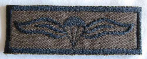 PARA - PARA WINGS FIELD DRESS EMBROIDERED POST 1980'S