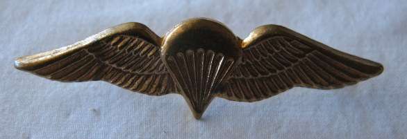 PARA WINGS - MESS DRESS BRASS.  2 PINS - POST 1970'S.