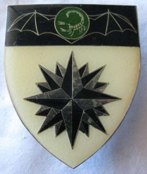 FLASH - 2 RECCE REGT. ORIGINAL IVORY COLOURED LEFT FLASH.  3 PINS.