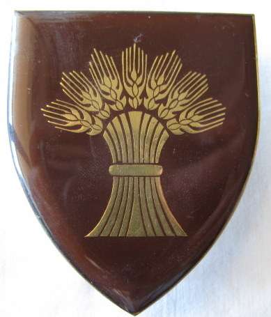 FLASH - BETHLEHEM COMMANDO SHOULDER FLASH - 3 PINS.