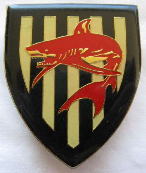 FLASH - UMGENI COMMANDO SHOULDER FLASH - ORIGINAL - 3 PINS.
