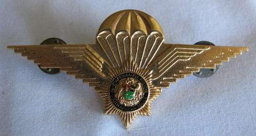 SA POLICE TASK FORCE PARA WING.  GILT & ENAMEL BREAST BADGE - 2 PINS