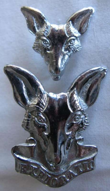 SA INTELLIGENCE CHROMED CAP & COLLAR BADGE - LUGS INTACT