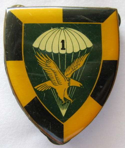 1 PARA BATTALION 1ST ISSUE FLASH - WORN 1972 - 1980'S.  ORIGINAL - 3 PINS.