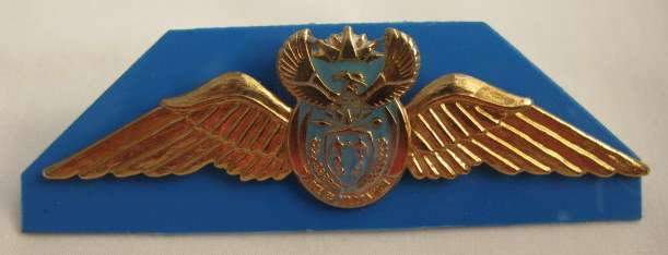 SAAF PILOTS WING - GOLD FOR 1000 FLYING HOURS & MORE.  FULL SIZE.