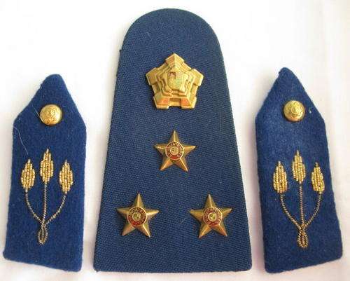 OLD SAP RANK BOARD + 2 GORGETS FOR BRIGADIER.