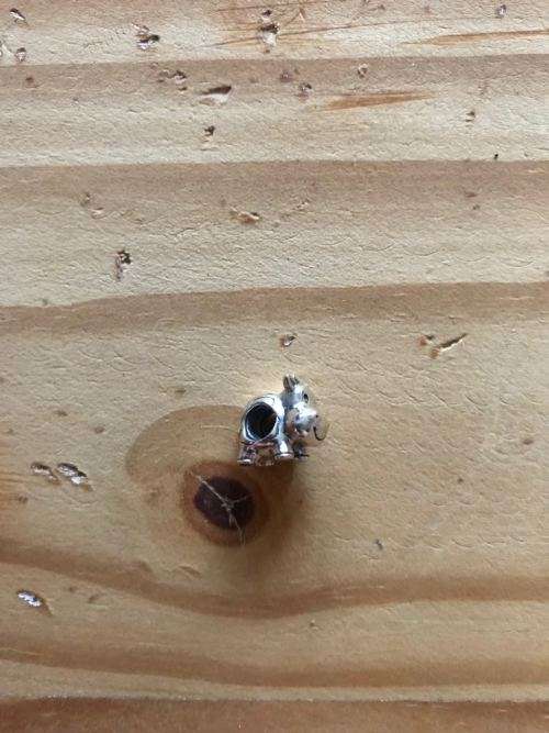 Silver cow pandora charm