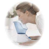 U-Style Facial Sauna Steamer Face Steam System