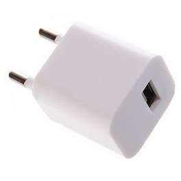 Mini 2-Pin USB Wall Charger Adapter