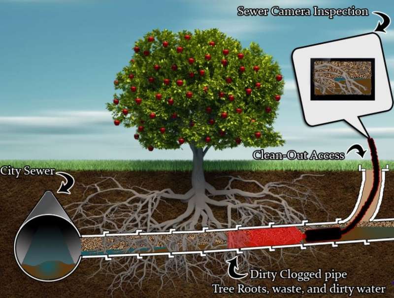 Waterproof USB Inspection HD Endoscope Video Camera With 6 LED's, 7 Meters Long