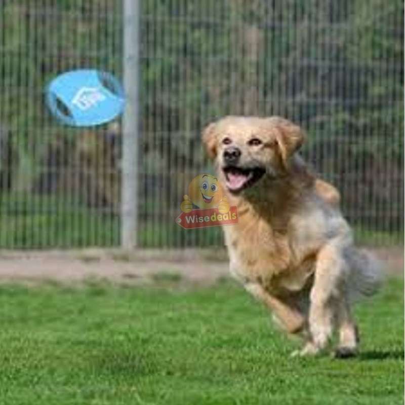 3 PACK Dog Frisbee Toy - Ideal for training and to spend some quality time with your dogs