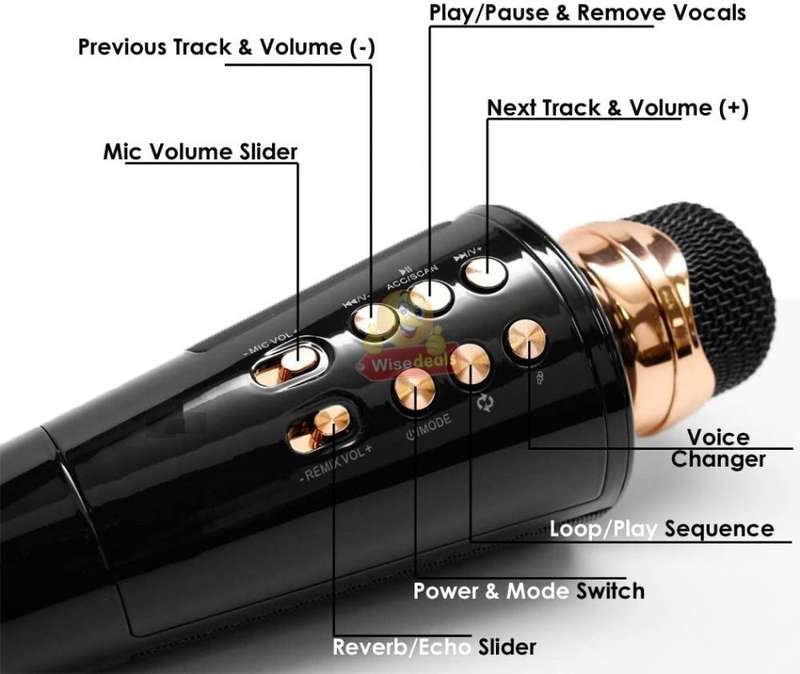 Wireless Bluetooth Microphone & Speaker, Support Headphone, Aux, SD Card, USB & FM Radio