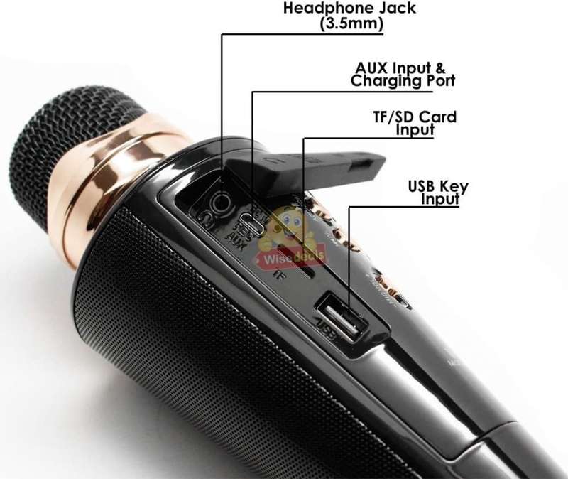 Wireless Bluetooth Microphone & Speaker, Support Headphone, Aux, SD Card, USB & FM Radio