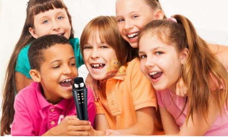 Wireless Bluetooth Microphone & Speaker, Support Headphone, Aux, SD Card, USB & FM Radio