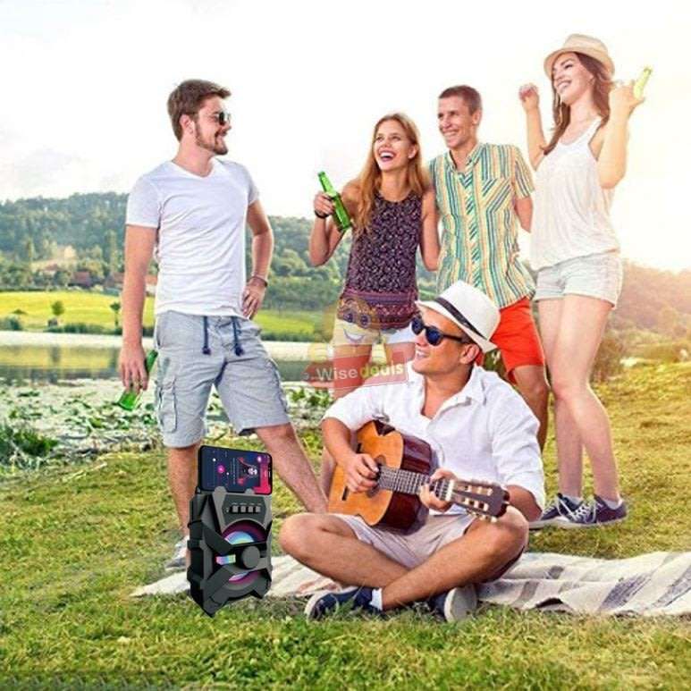 Wireless Bluetooth Speaker with FM Radio & Build-In Mic, Support SD Card, USB, AUX