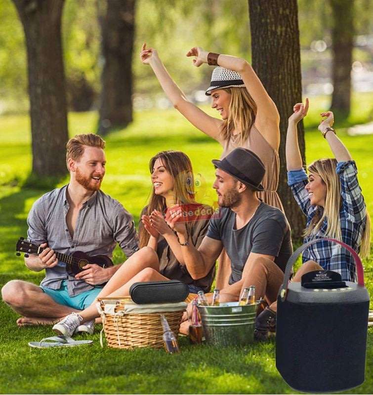 Wireless Bluetooth SOLAR Speaker with FM Radio and Build-In Mic, Support SD Card, USB, AUX