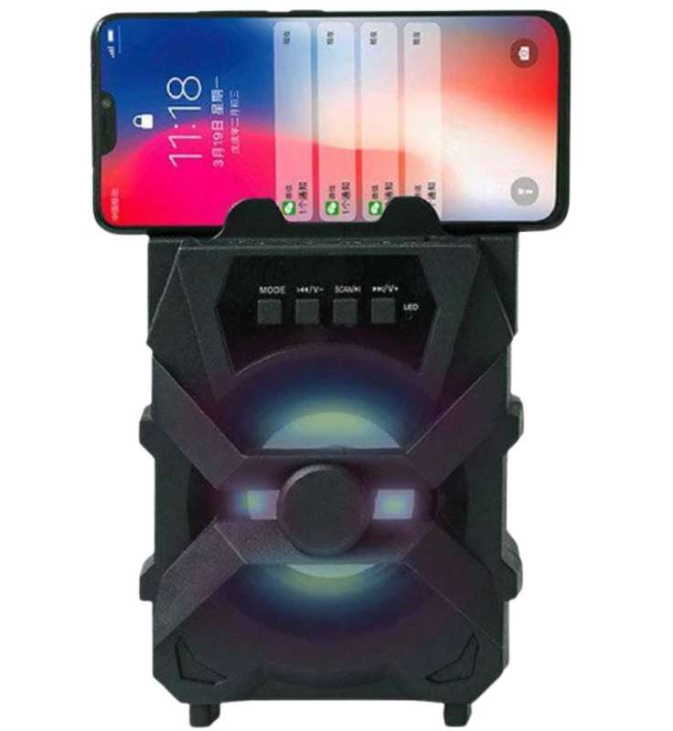 Mini Wireless Bluetooth Speaker with FM Radio