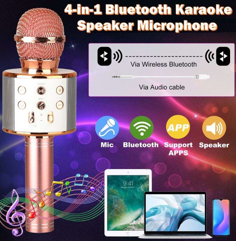 4-IN-1 BLUETOOTH Karaoke Speaker and Microphone