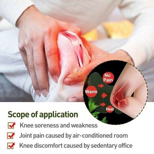 10 Piece Pain Relief Patches for quick relief of pain on various areas