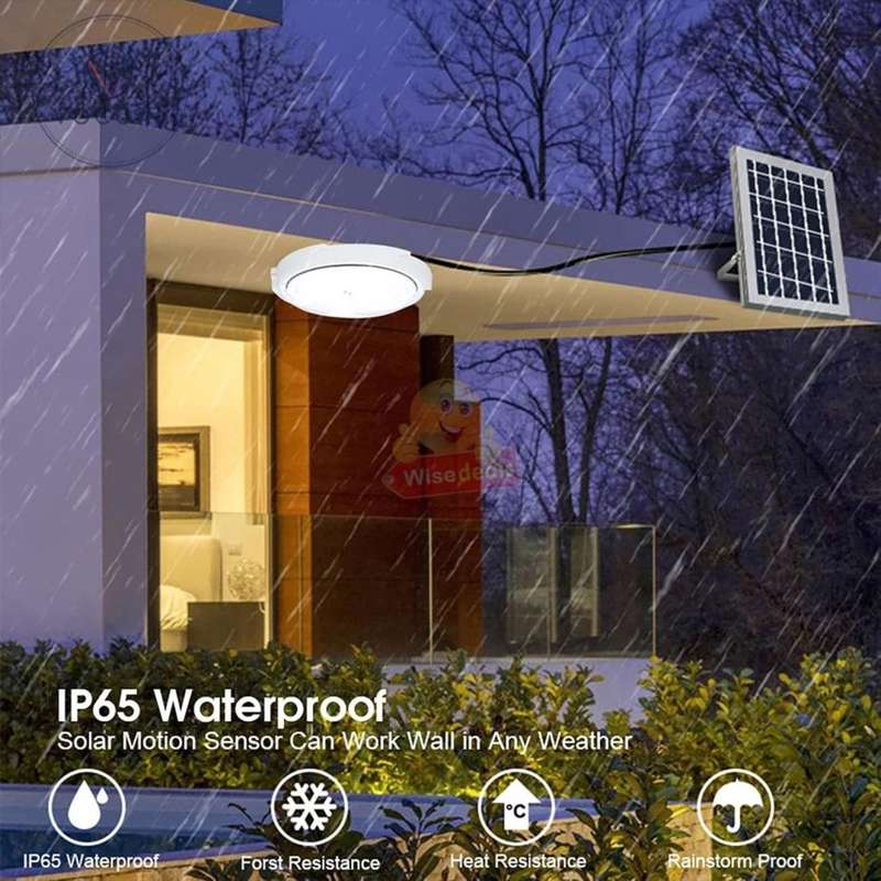 40W Ceiling Light for Indoor or Outdoor use with Solar Panel and Remote Control
