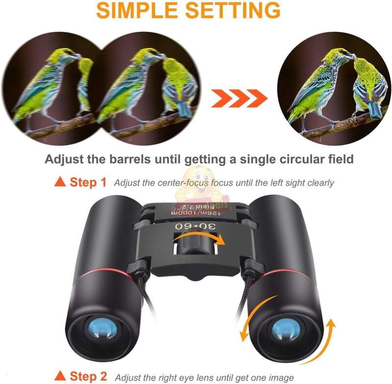 30 X 60 Day & Night Vision Binocular Telescope with Carry Bag - START R1 ONLY