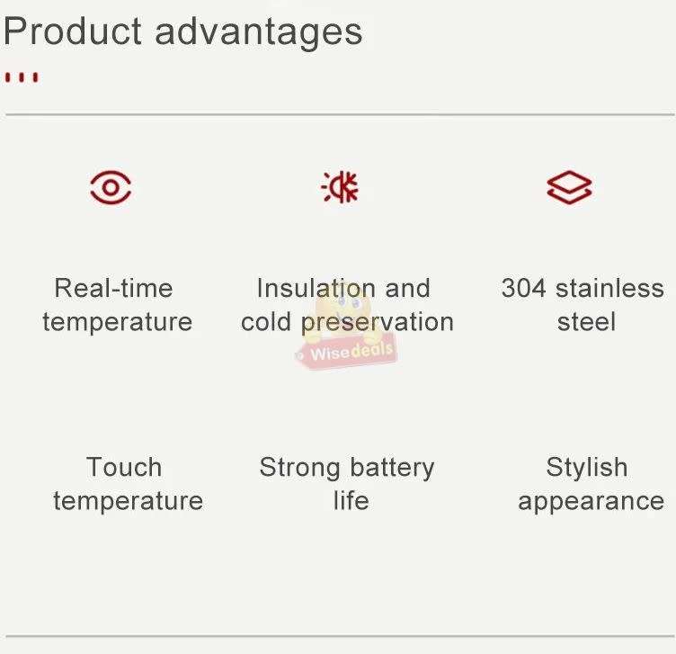 Smart Temperature LED Display Thermal Flask, Leak-Proof and 304 Stainless Steel